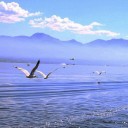 สมาชิกหมายเลข 2319566