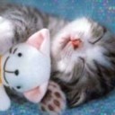 หินถามทาง