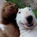 สมาชิกหมายเลข 1552844