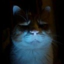 สมาชิกหมายเลข 1552972