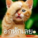 สมาชิกหมายเลข 2773676