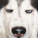 สมาชิกหมายเลข 1829362