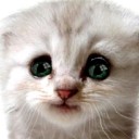 สมาชิกหมายเลข 745900