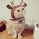 สมาชิกหมายเลข 745976