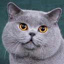 สมาชิกหมายเลข 1584070