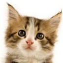 จ๊ะจ๋า_จ๋าจ้า