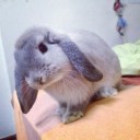 สมาชิกหมายเลข 746387