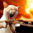 สมาชิกหมายเลข 1356968