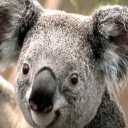 สมาชิกหมายเลข 736123