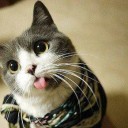 ผจญภัยไปตามกาลเวลา