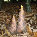 ลี้จ๊ะว๊ะ