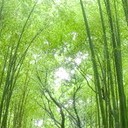 สมาชิกหมายเลข 2129365