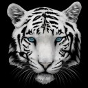 สมาชิกหมายเลข 776593