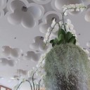 สมาชิกหมายเลข 3151213