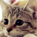 สมาชิกหมายเลข 746978