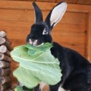 สมาชิกหมายเลข 1554947