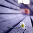 สมาชิกหมายเลข 2775798