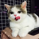 สบายใจ ใส่สไบเขียว