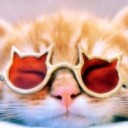 กะลา_ฮาฮา