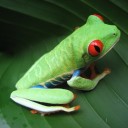 สมาชิกหมายเลข 700514