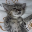 I hate you, but don't leave me