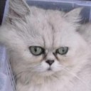 ลูกน้ำเค็มเมืองสาคร