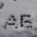 สมาชิกหมายเลข 1809071