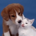 สมาชิกหมายเลข 3022109