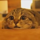 สมาชิกหมายเลข 3200361