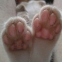 สมาชิกหมายเลข 747999