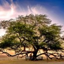 สมาชิกหมายเลข 1556303