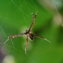 สมาชิกหมายเลข 748369