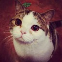 สมาชิกหมายเลข 2777141