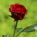 สมาชิกหมายเลข 1059103