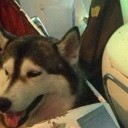 สมาชิกหมายเลข 1533292