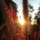 สมาชิกหมายเลข 1441957