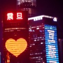 ดอกไม้กลางสายลมหนาว