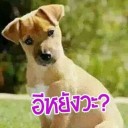 สมาชิกหมายเลข 3201019