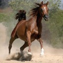 ฝนเหนือ