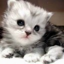 สมาชิกหมายเลข 867752