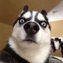 สมาชิกหมายเลข 1509460