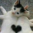 สมาชิกหมายเลข 1119336