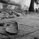 สมาชิกหมายเลข 3201828