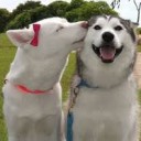 มีเมฆเป็นบางส่วน