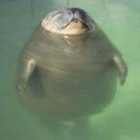 สมาชิกหมายเลข 2771426