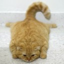 สมาชิกหมายเลข 749825