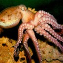 สมาชิกหมายเลข 2779551