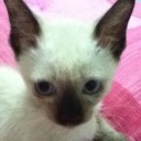 คุณนัท ณ ตระกูลลี