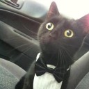 สมาชิกหมายเลข 750279