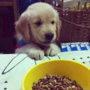 สมาชิกหมายเลข 763004